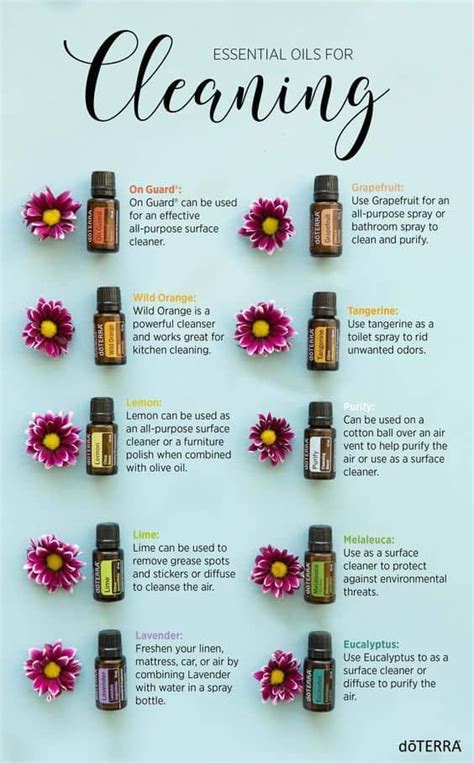 The Best Diy Doterra Cleaning Recipes Best Essential Oils Essential