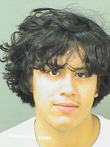 Lorenzana Luis Palm Beach County Mugshots Zone