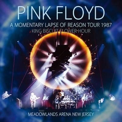 Pink Floyd A Momentary Lapse Of Reason Tour King Biscuit Flower