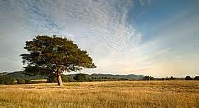 castlemorton photo gallery  aboutbritaincom