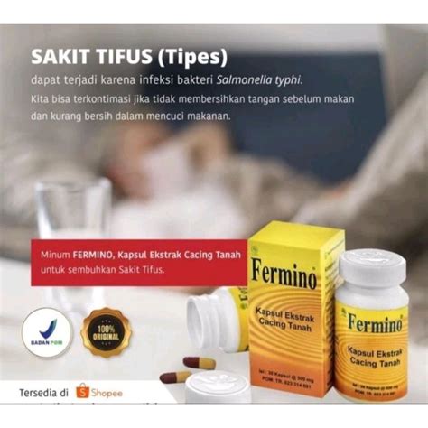 Jual Fermino Kapsul 20s Cacing Kapsul Obat Typus Tipes Demam Shopee