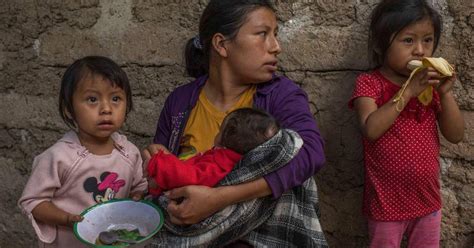 Revela La Fao Que El De La Poblaci N De Am Rica Latina Y El Caribe Sufre Hambre