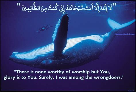 Duaa Made By Prophet Yunus Alyhissalam In The Belly Of The Whale