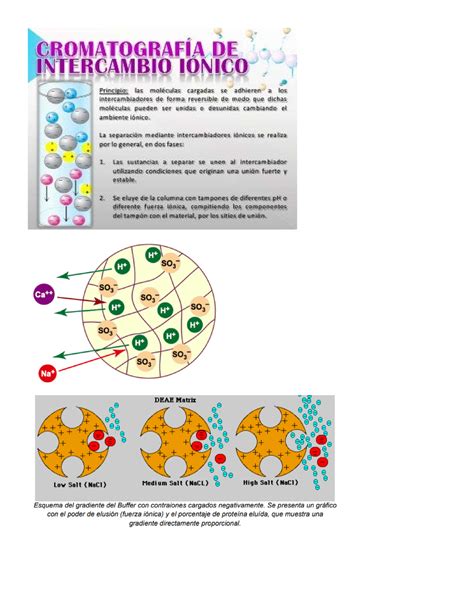 Cromatograf A De Intercambio De Iones