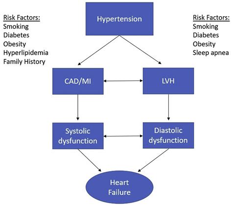 Heart Failure In Women Due To Hypertensive Heart Disease Heart