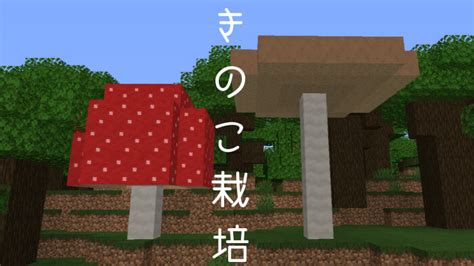 【マイクラ】キノコの栽培方法＆使い道まとめ｜ぜんくら。