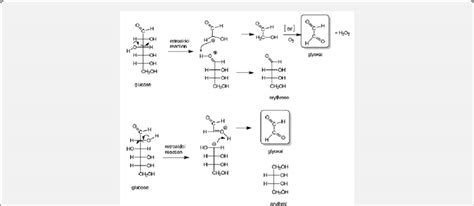 retroaldol reaction   formation  glyoxal  methyl glyoxal