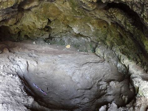 Grave suggests Neanderthals intentionally buried their dead