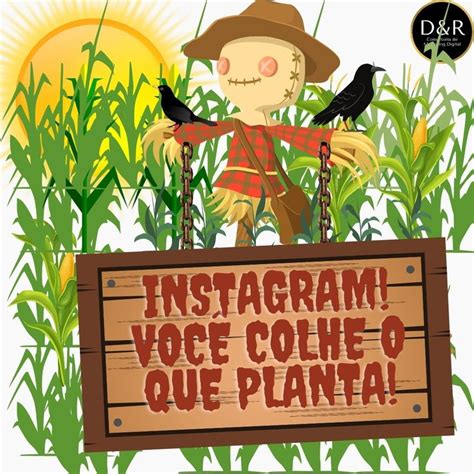 Instagram Você Colhe o que planta Quem planta colhe Instagram Plantas