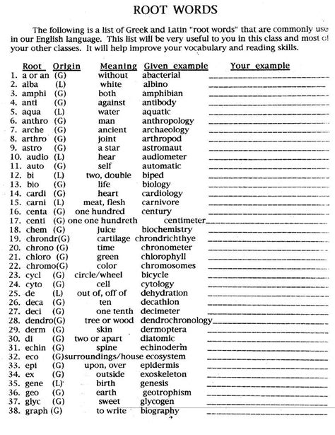 Latin Greek Root Words Worksheet