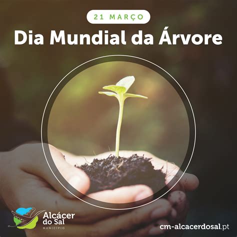 CM Alcácer do Sal