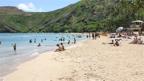 Hanauma Bay Nature Preserve Pictures: View Photos & Images of Hanauma ...