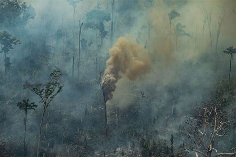 UM EM CADA TRÊS DOS FOCOS DE QUEIMADAS NA AMAZÔNIA TEM RELAÇÃO