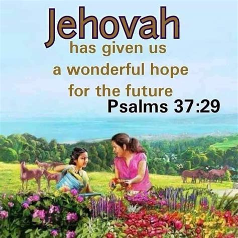 Pin By Joanne Wilson On Awesome Good News Jehovah Witness Quotes