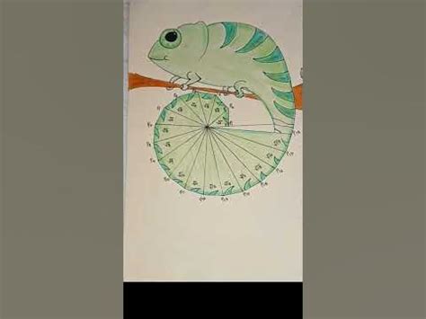 square root spiral chameleon design mathematics mathshomework
