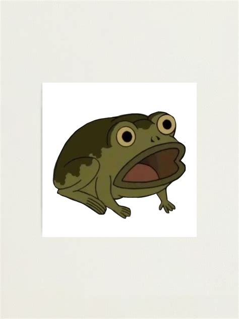 "Cartoon frog meme" Photographic Print for Sale by AtruChanqwq | Redbubble