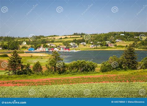 Landscape With Bay In Prince Edward Island Canada Stock Photo Image