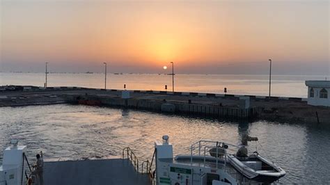 Dalma Island Abu Dhabi Alles Wat U Moet Weten Voordat Je Gaat
