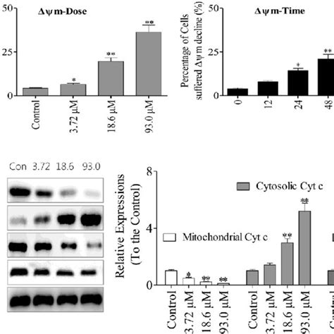 Xd 1 Induces G0g1 Cell Cycle Arrest In Hepg2 Cells A Cell Cycle