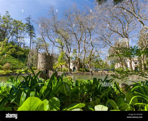 Pena palace garden in sintra hi-res stock photography and images - Alamy