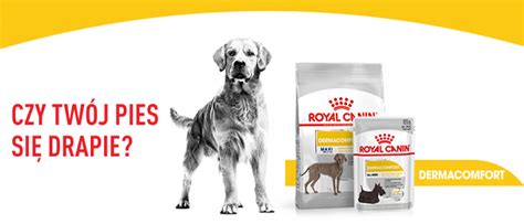 Royal Canin Ccn Maxi Dermacomfort Kg Karma Sucha Dla Ps W Doros Ych