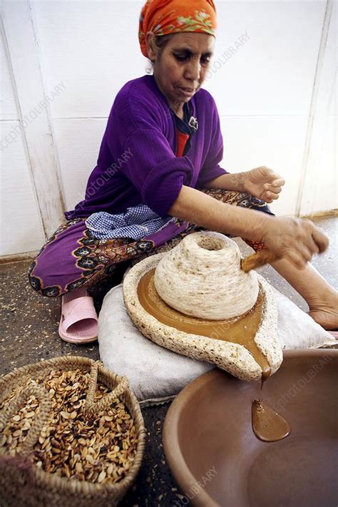 Argan oil production - Stock Image - C001/5236 - Science Photo Library