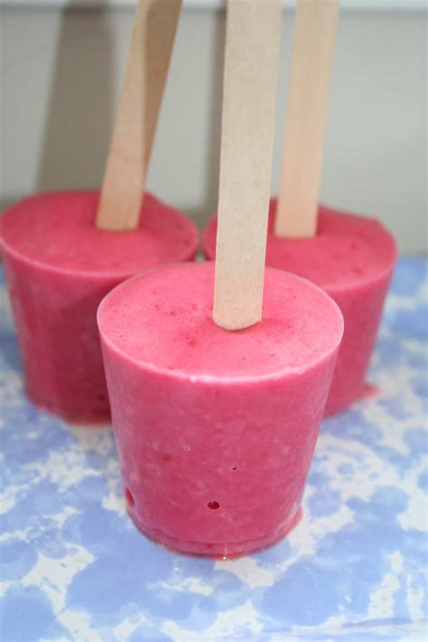 Homemade Summer Popsicles - Jill Castle