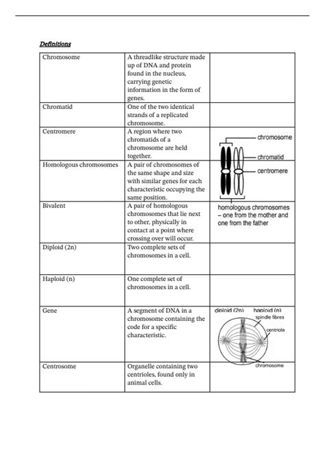 Summary Mitosis Meiosis Short Notes Ieb Nsc Life Sciences Biology