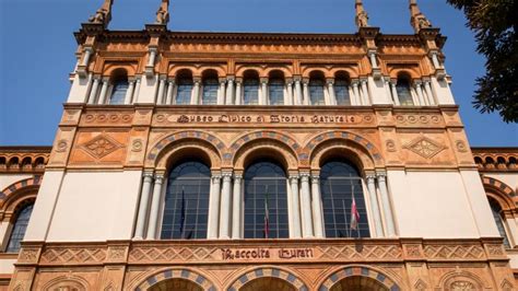 Esplora Il Museo Civico Di Storia Naturale Di Milano Raffaello In Umbria