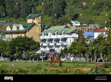 Residential Houses Nuwara Eliya Sri Lanka Asia Stock Photo Alamy