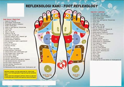 Rawatan Refleksologi Urutan Tapak Kaki Al Hijamah Trading