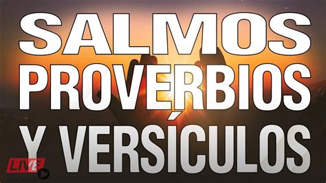 Horas Con Los Salmos Proverbios Y Vers Culos B Blicos Para Dormir