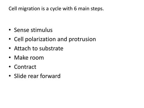 PPT - Cell Migration PowerPoint Presentation, free download - ID:746755