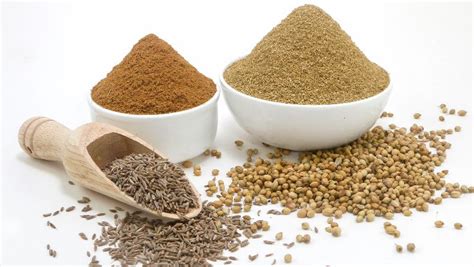 Coriander Cumin Powder Manufacturer Supplier From Ahmedabad