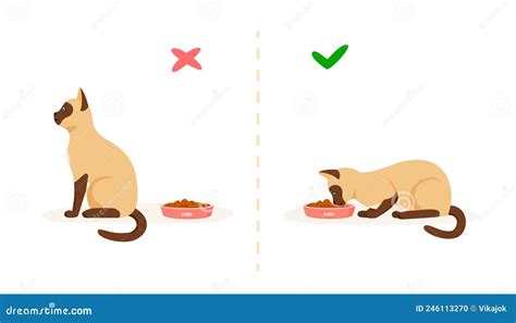 Good Red Cat Feeding Birds Cartoon Stock Image