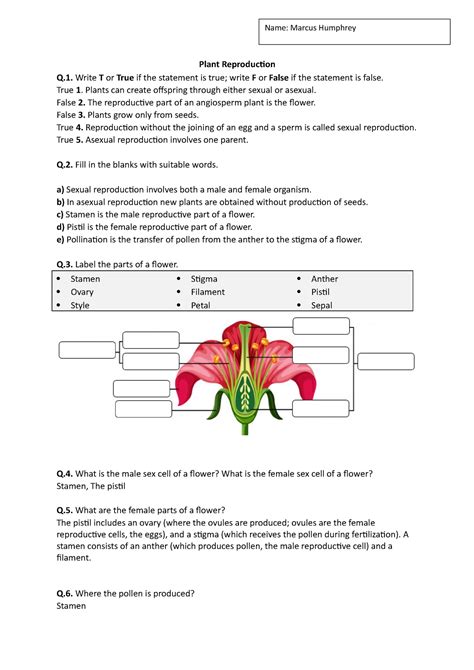 Plant Reproduction Teaching Resources The Science Teacher