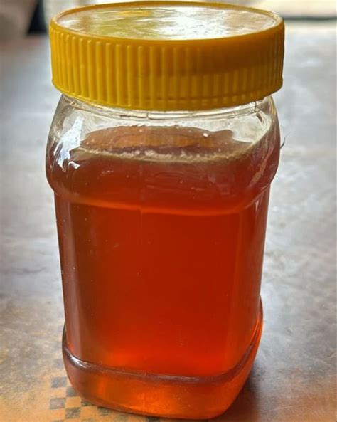 Natural Forest Honey At Rs 240 Jar Bhusawar Bharatpur ID 17685964130