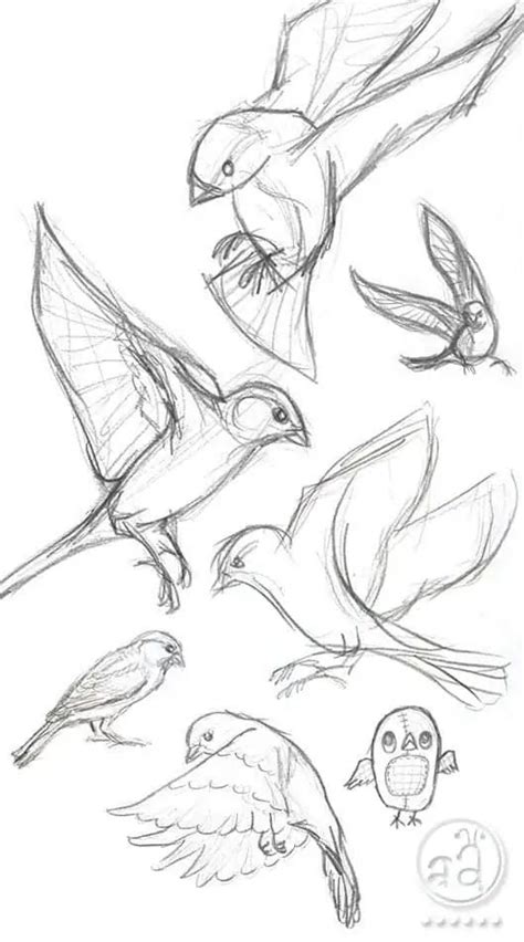 40 Free & Easy Animal Sketch Drawing Ideas