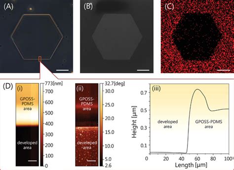 Characterization Of Microscopic Omniphobicomniphilic Patterns A