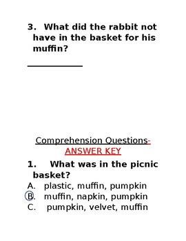 Decodable Text With Comprehension Questions CVVC By Teaching E2P