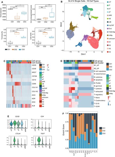 Investigation Of The Intra‐tumor Heterogeneity Of Hcc A Boxplot