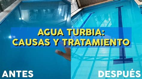 ¿cuántos Skimmers Necesitas En Tu Piscina Todo Lo Que Debes Saber