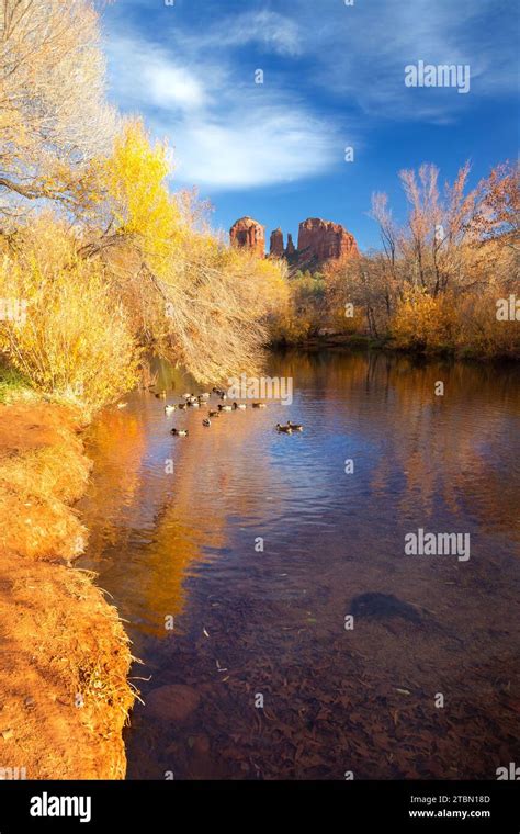 Cathedral Rock Sandstone Formationoak Creek Calm Water Autumn Colours Scenic Red Rocks State