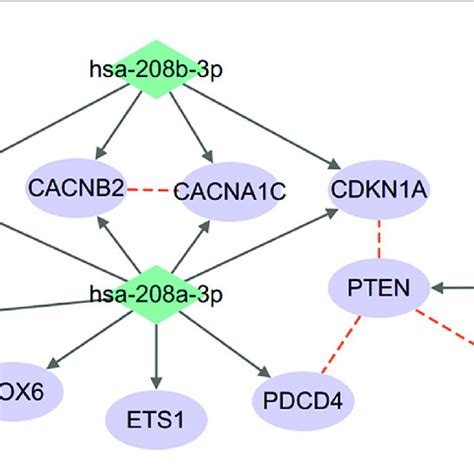 Mirna Target Gene Sets Associated With Schizophrenia Download