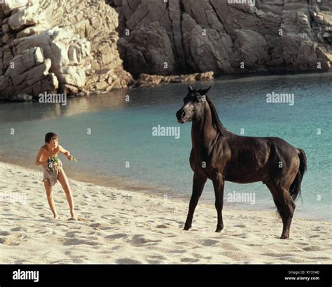 Kelly Reno The Black Stallion 1979 Stock Photo Alamy