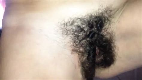 Inculata Anal Anal Porn XHamster