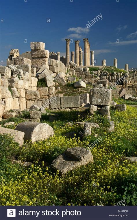 Jerash Jordan Flowers Hi Res Stock Photography And Images Alamy