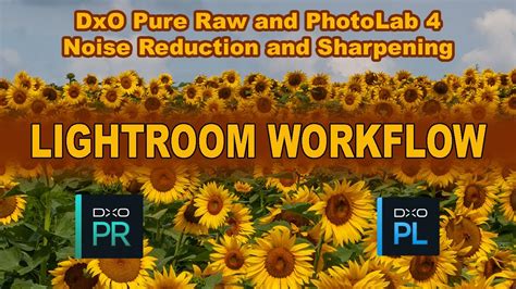 DXO PURE RAW Plus DXO PHOTOLAB 4 Noise Reduction And Sharpening