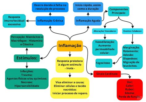 Mapa Mental Inflamacao Fisiologia I Porn Sex Picture