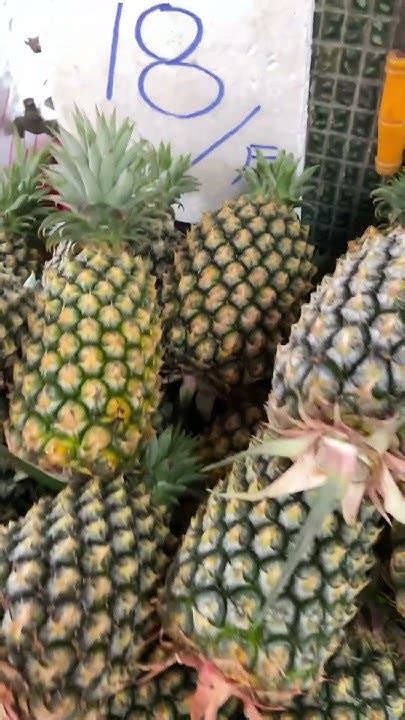 Golden Diamond Pineapple Has The Highest Vitamin C Per Cattynt18 金鑽鳳梨